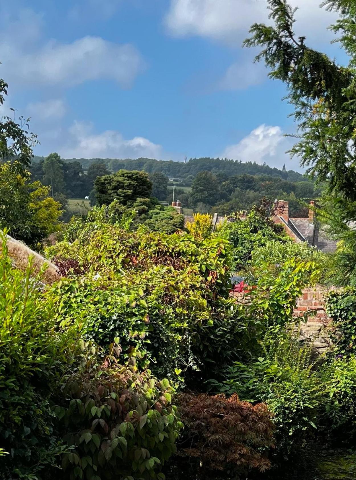 Flower Cottage By Ludlow Castle With Onsite Parking Exterior photo