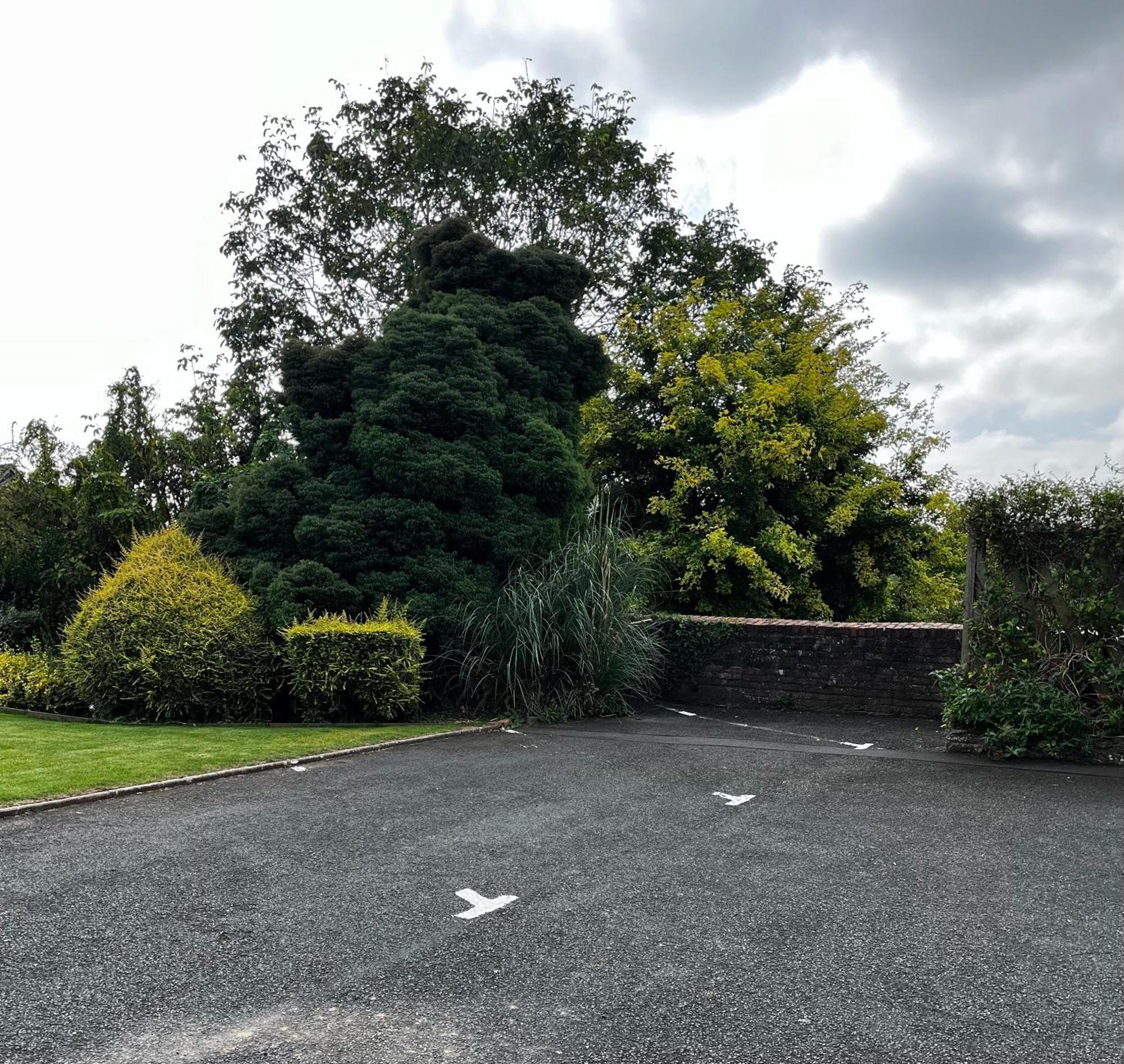 Flower Cottage By Ludlow Castle With Onsite Parking Exterior photo